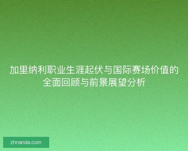 加里纳利职业生涯起伏与国际赛场价值的全面回顾与前景展望分析 加里纳利职业生涯起伏与国际赛场价值的全面回顾与前景展望分析