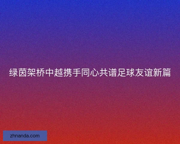 绿茵架桥中越携手同心共谱足球友谊新篇 绿茵架桥中越携手同心共谱足球友谊新篇